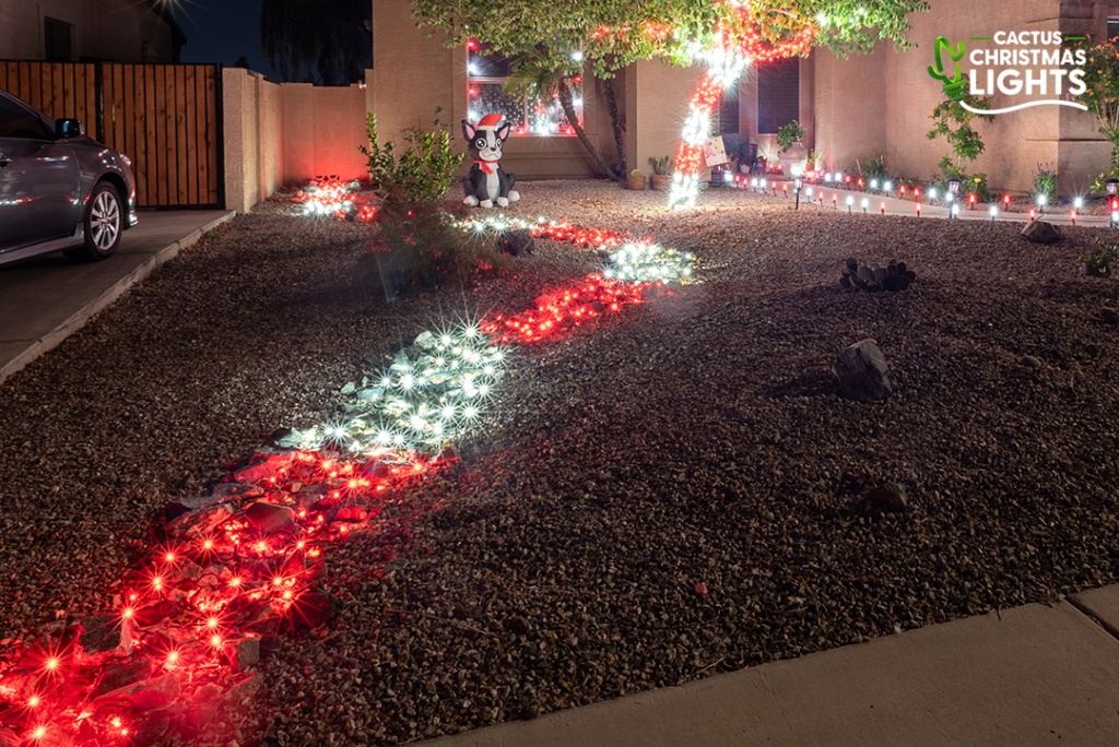 Glendale - River Bed Lined With Christmas Lights