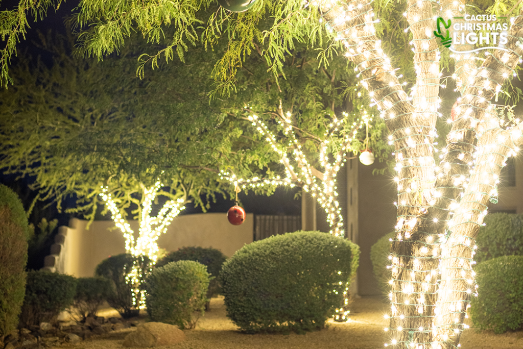 North Scottsdale - Trees Wrapped in Warm White Lights