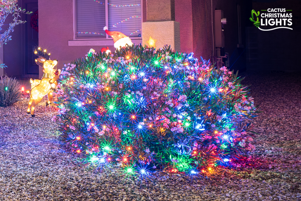 El Mirage - Multicolor Lights on Bush