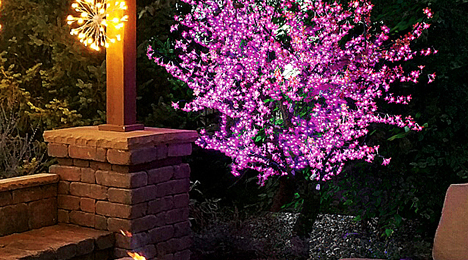 Christmas Cherry Blossom Tree Installation in Paradise Valley