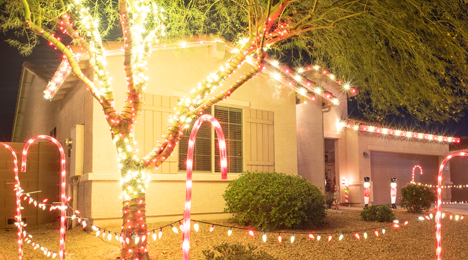 Christmas Tree Light Wraps in Waddell