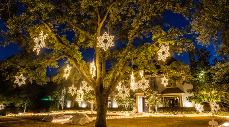 Lighted Snowflakes Hanging From Trees for Christmas